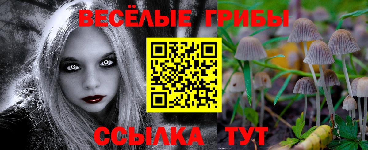 Псилоцибиновые грибы MAGIC MUSHROOMS Кубинка