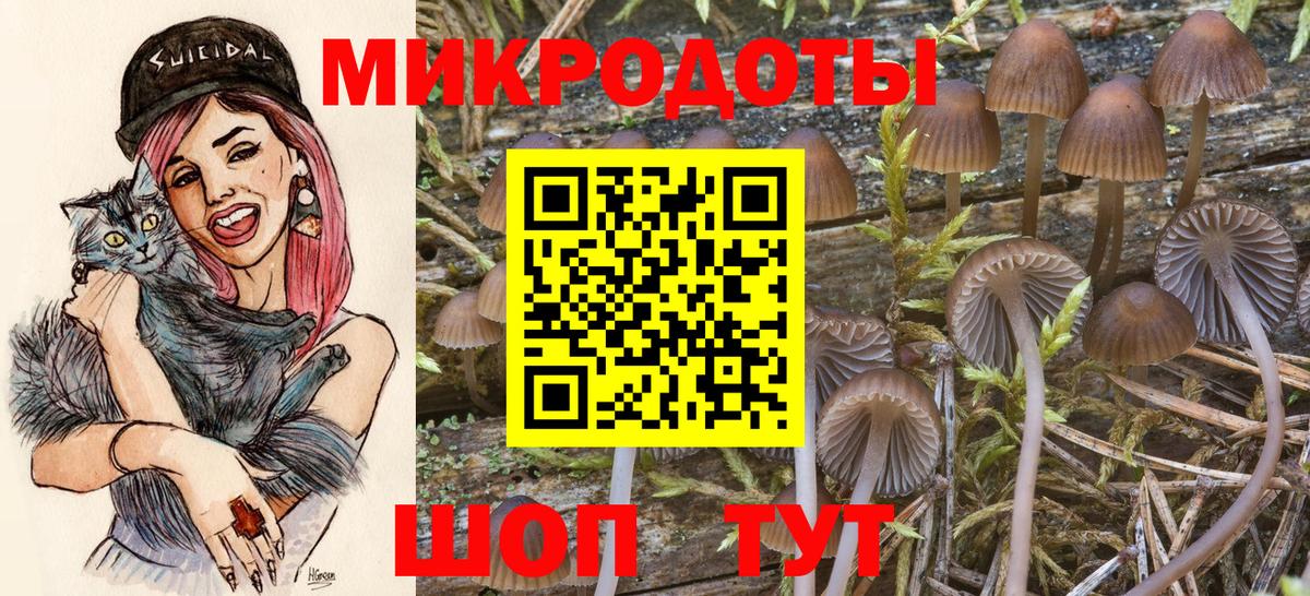 Псилоцибиновые грибы ЛСД  дарнет шоп  Кубинка  Вход с VPN 
